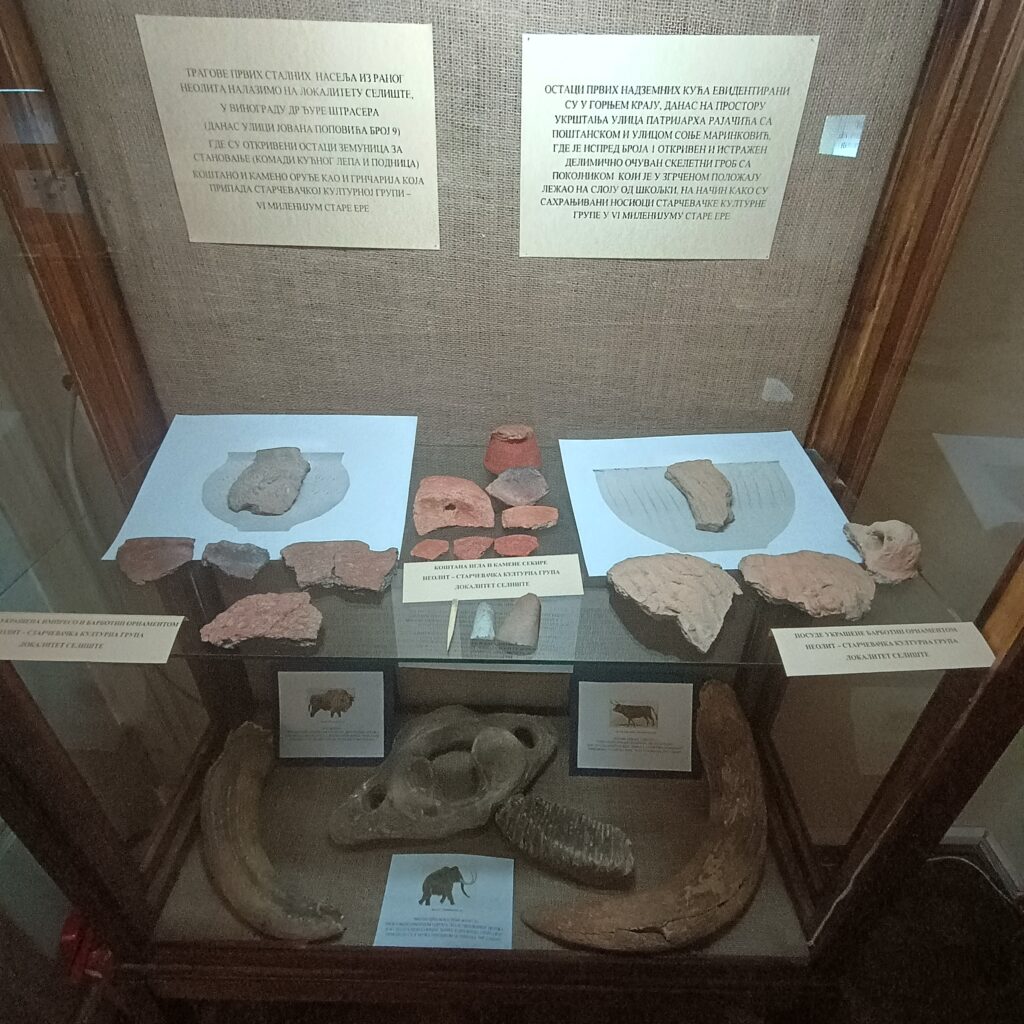 Arheološki nalazi sa neolitskih lokaliteta Selište u Sremskim Karlovcima
